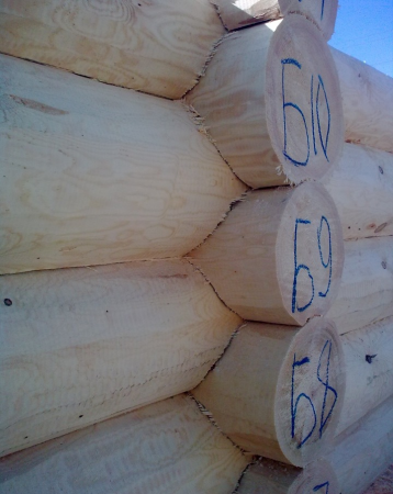 Сруб бани 5х5 м из рубленного бревна, 20 кв. м 