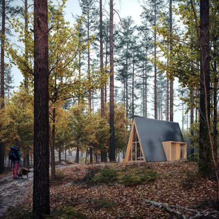 Одноэтажный A-Frame дом 9,5x4 метра, 38 кв. м