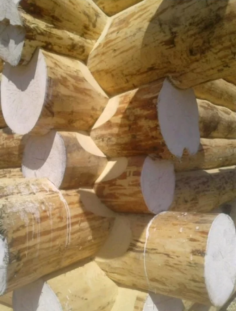 Сруб бани 7х8 м из рубленного бревна (канадский), 45 кв. м 