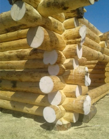 Сруб бани 7х8 м из рубленного бревна (канадский), 45 кв. м 