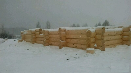 Сруб одноэтажного дома 12х12 м из рубленного бревна, 120 кв. м 