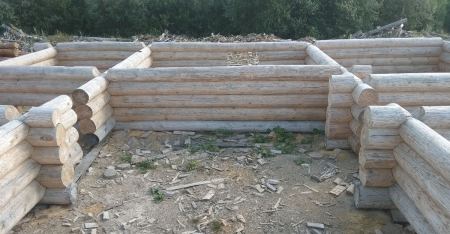 Сруб одноэтажного дома 12х12 м из рубленного бревна, 120 кв. м 