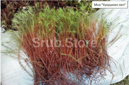 Мох Кукушкин лен для конопатки, мешок 45 л.