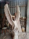 Парковая скульптура орла на постаменте