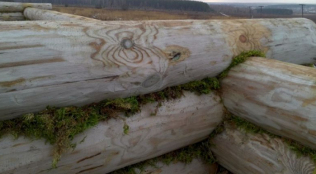 Конопатка дома и бани "Стандарт"