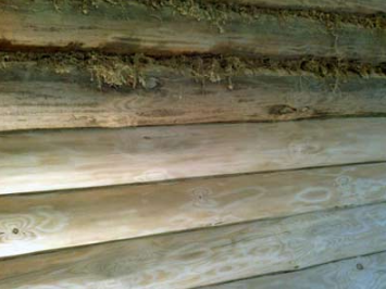 Конопатка дома и бани "Стандарт"