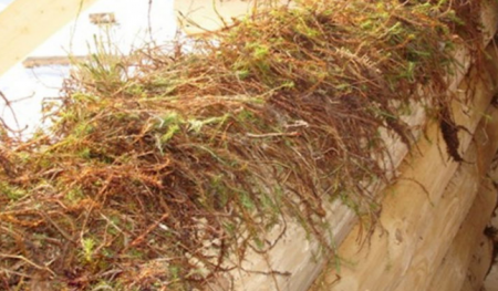 Конопатка мхом "Премиум"